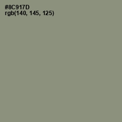 #8C917D - Granite Green Color Image