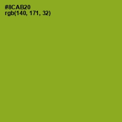 #8CAB20 - Sushi Color Image