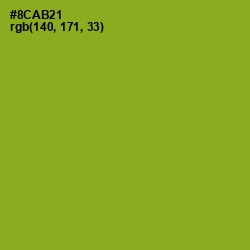 #8CAB21 - Sushi Color Image