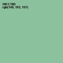 #8CC19D - Feijoa Color Image