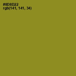 #8D8D22 - Sycamore Color Image