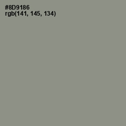 #8D9186 - Spanish Green Color Image