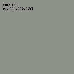 #8D9189 - Spanish Green Color Image
