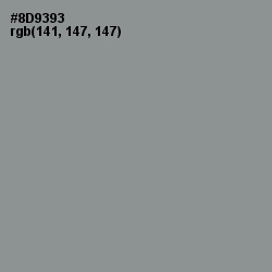#8D9393 - Mantle Color Image