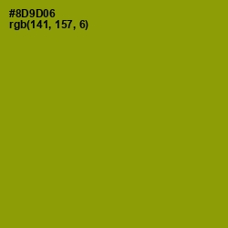 #8D9D06 - Olive Color Image