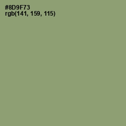 #8D9F73 - Gurkha Color Image