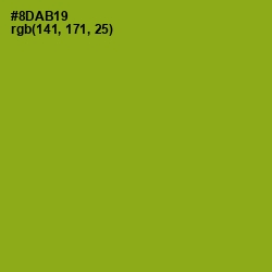 #8DAB19 - Citron Color Image