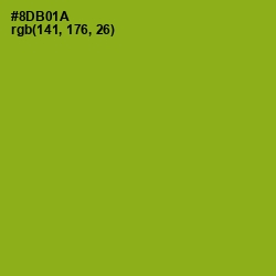 #8DB01A - Citron Color Image