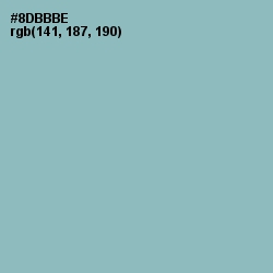 #8DBBBE - Summer Green Color Image