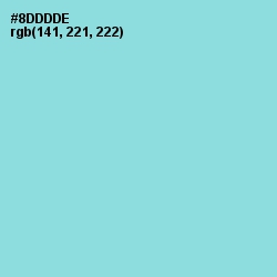 #8DDDDE - Sinbad Color Image