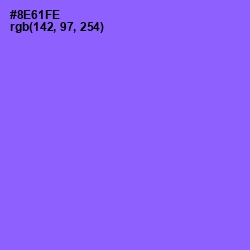 #8E61FE - Medium Purple Color Image