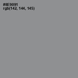 #8E9091 - Mantle Color Image