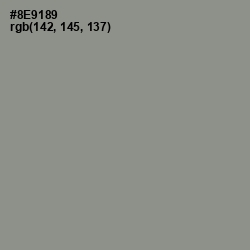 #8E9189 - Spanish Green Color Image