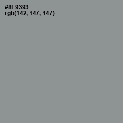 #8E9393 - Mantle Color Image