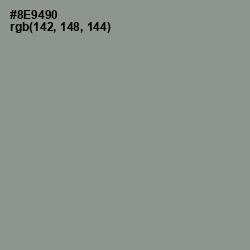 #8E9490 - Mantle Color Image