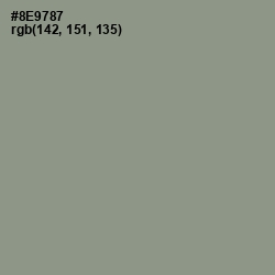 #8E9787 - Spanish Green Color Image