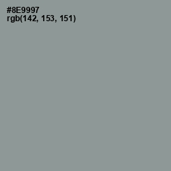 #8E9997 - Mantle Color Image