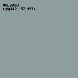 #8E9D9D - Regent Gray Color Image