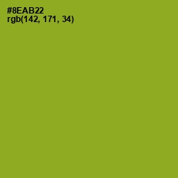 #8EAB22 - Sushi Color Image