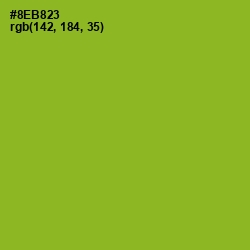 #8EB823 - Sushi Color Image