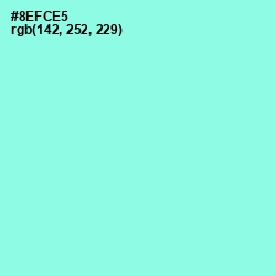 #8EFCE5 - Anakiwa Color Image