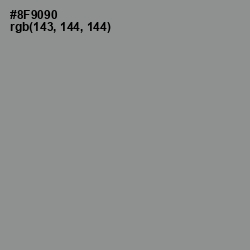 #8F9090 - Mantle Color Image