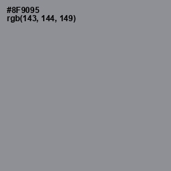 #8F9095 - Mantle Color Image