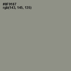 #8F9187 - Spanish Green Color Image