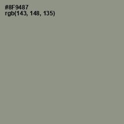 #8F9487 - Spanish Green Color Image