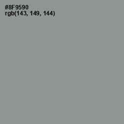 #8F9590 - Mantle Color Image