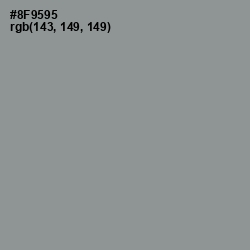 #8F9595 - Mantle Color Image