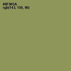 #8F965A - Avocado Color Image