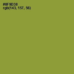 #8F9D38 - Sycamore Color Image