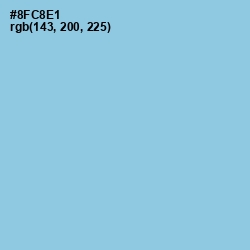 #8FC8E1 - Seagull Color Image