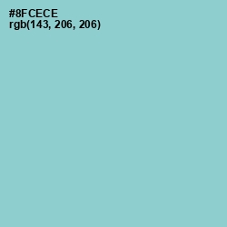 #8FCECE - Half Baked Color Image