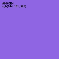 #9065E4 - Medium Purple Color Image