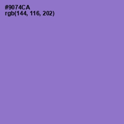 #9074CA - Lilac Bush Color Image