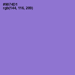 #9074D1 - Lilac Bush Color Image
