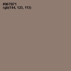 #907B71 - Almond Frost Color Image