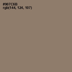 #907C6B - Almond Frost Color Image