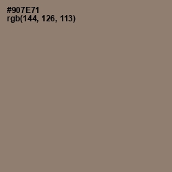 #907E71 - Almond Frost Color Image