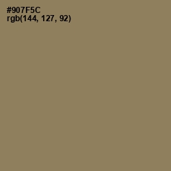 #907F5C - Leather Color Image