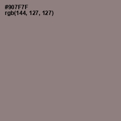 #907F7F - Bazaar Color Image