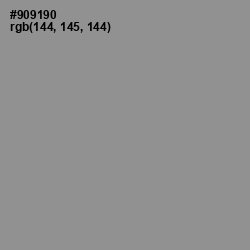 #909190 - Mountain Mist Color Image