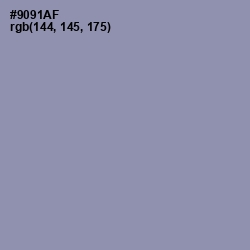 #9091AF - Manatee Color Image