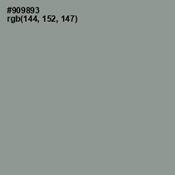 #909893 - Mountain Mist Color Image