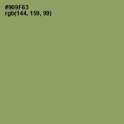 #909F63 - Avocado Color Image