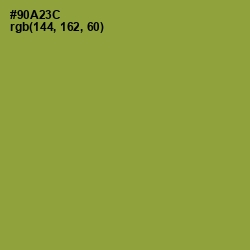 #90A23C - Sushi Color Image