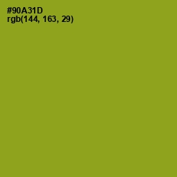 #90A31D - Citron Color Image