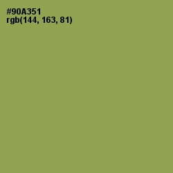 #90A351 - Chelsea Cucumber Color Image